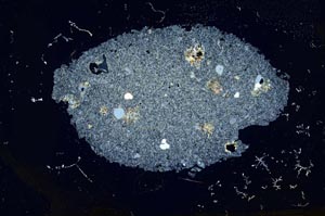 Cross Polarized, S13671