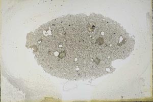 Plane Polarized, S13671