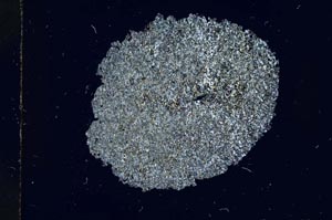 Cross Polarized, S13672