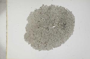 Plane Polarized, S13672