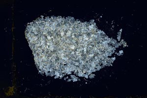 Cross Polarized, S13673