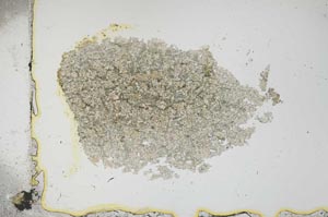 Plane Polarized, S13673