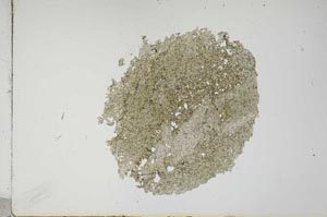 Plane Polarized, S13675