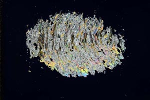 Cross Polarized, S13680