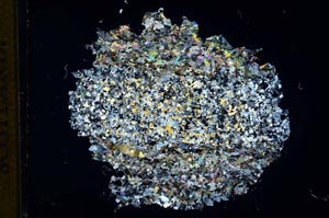 Cross Polarized, S13681