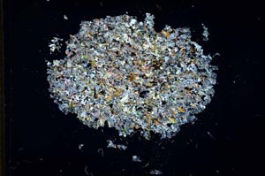 Cross Polarized, S13683