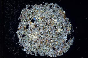 Cross Polarized, S13684