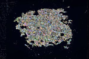 Cross Polarized, S13685