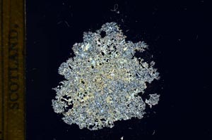 Cross Polarized, S13687