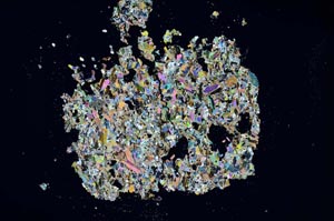 Cross Polarized, S13688