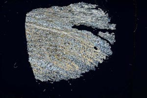 Cross Polarized, S13689