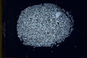 Cross Polarized, S13691