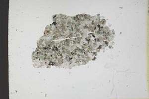 Plane Polarized, S13698