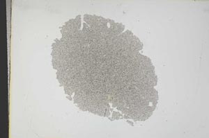 Plane Polarized, S13703