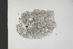 Plane Polarized, S13715