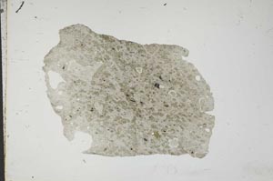 Plane Polarized, S13735