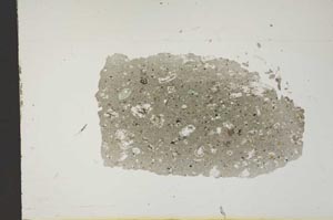 Plane Polarized, S13759