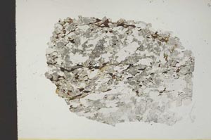 Plane Polarized, S13772