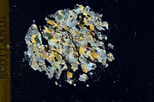 Cross Polarized, S13774