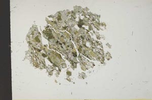 Plane Polarized, S13774