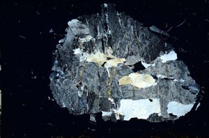 Cross Polarized, S13775