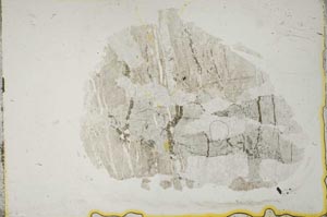 Plane Polarized, S13775