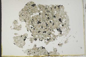 Plane Polarized, S13789