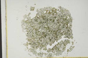 Plane Polarized, S13793