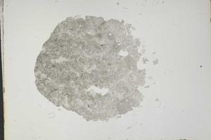Plane Polarized, S13799