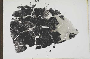 Plane Polarized, S13813