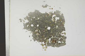 Plane Polarized, S13815