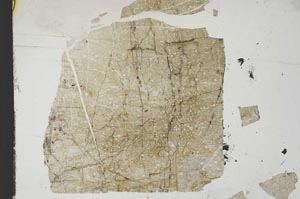 Plane Polarized, S13830