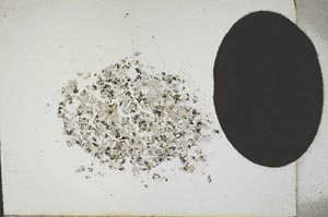 Plane Polarized, S13832