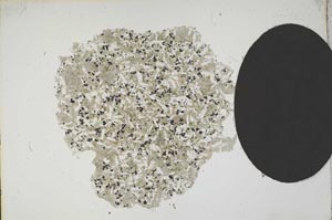 Plane Polarized, S13833