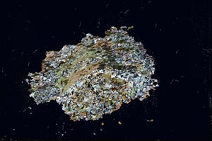 Cross Polarized, S13838/A