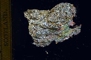 Cross Polarized, S13838/B