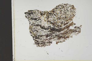 Plane Polarized, S13838/B