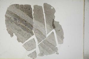 Plane Polarized, S13841/A