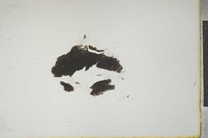 Plane Polarized, S13843
