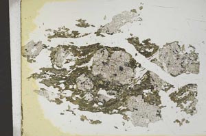 Plane Polarized, S13853