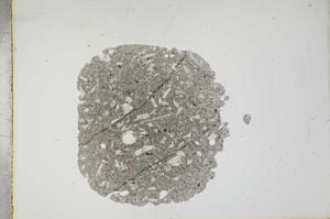 Plane Polarized, S13863