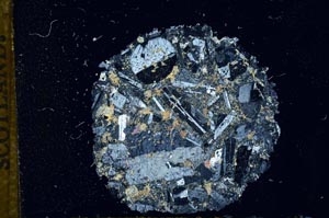 Cross Polarized, S13869