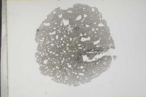 Plane Polarized, S13873