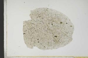 Plane Polarized, S13877