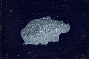 Cross Polarized, S13878