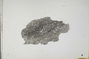 Plane Polarized, S13878