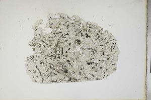 Plane Polarized, S13880