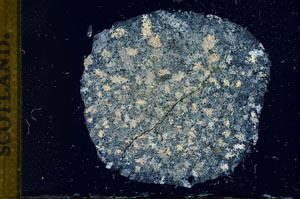 Cross Polarized, S13885