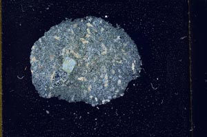 Cross Polarized, S13890