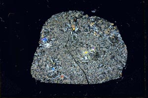 Cross Polarized, S13891